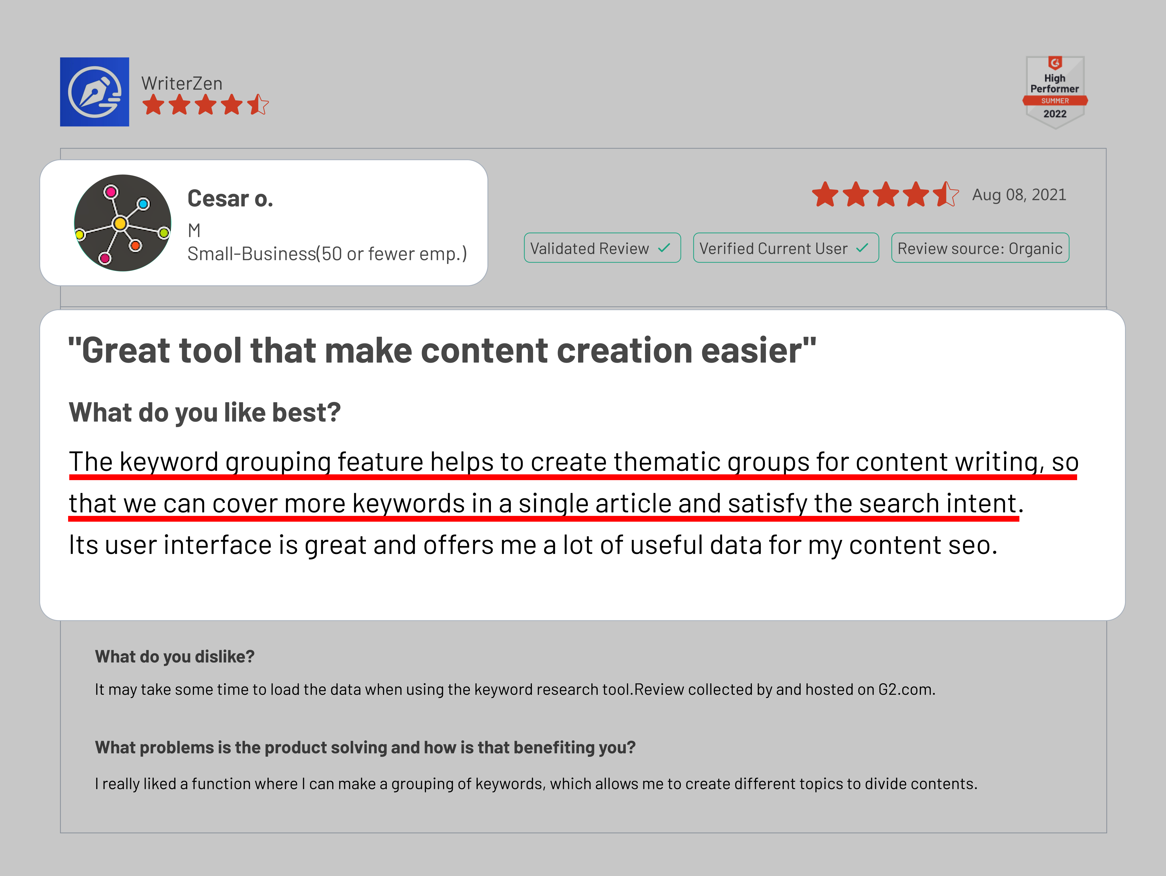 User Giving Feedback On WriterZen Tool