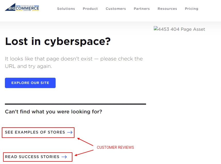 Bigcommerce 404 Page Includes Customer Reviews