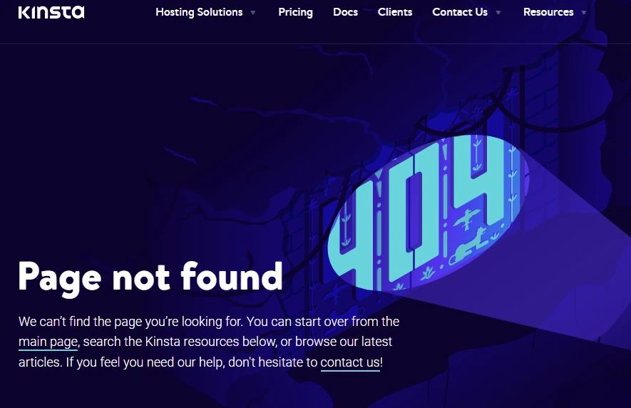 Kinsta Error Page