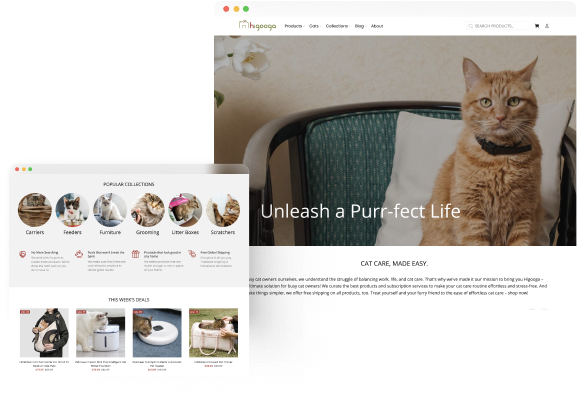 How WriterZen Catapulted Higooga's Website Traffic, Slashing Paid Reliance by 50% and Fueling a Mission to Serve Cat Parents